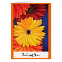Colourful Daisies Greeting Card
