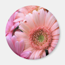 Colourful Daisies Magnet