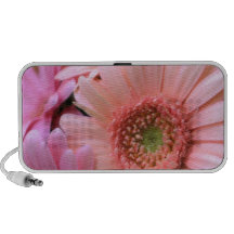 Colourful Daisy Speakers