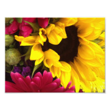 Colourful flowers photo