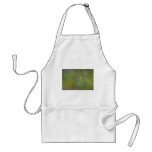 Colourful Fungus Aprons