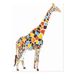 Colourful Giraffe Postcard