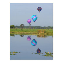 Colourful Hot Air Balloons photographic image Post Cards