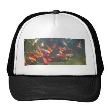 Colourful Koi Fish In a Pond Hat