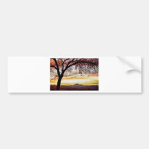 Colourful November Sunset Sky and Longs Peak Bumper Stickers