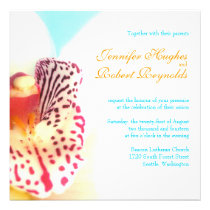 Colourful Orchid Wedding Invitation invitations