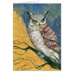 colourful owl cards