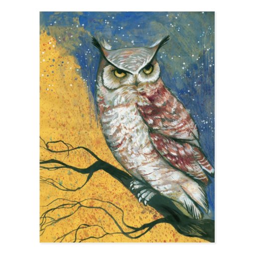 colourful owl postcard