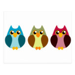 Colourful Owl Trio Postcard