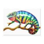 Colourful Panther Chameleon Lizard Wrapped Canvas Canvas Prints