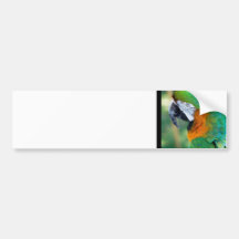 Colourful Parrot Bumper Sticker