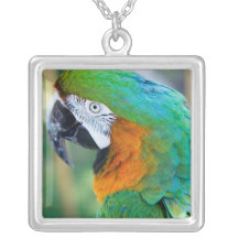 Colourful Parrot Necklace