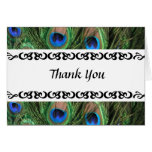 Colourful Peacock Wedding Thank You Greeting Card