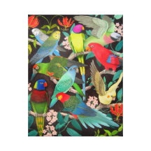 Colourful Pet Parrots Wrapped Canvas Gallery Wrap Canvas