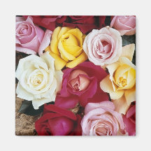 Colourful Roses Magnets