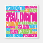 Colourful Special Education Magnet