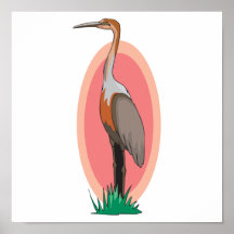colourful stork posters