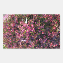 Colourful Summer flowering Heather Rectangle Stickers