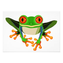 Colourful Tree Frog Personalized Announcement