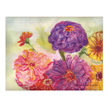 Colourful Zinnias Postcard