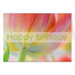 Colours of Spring Birthday Card
