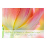 Colours of Spring • Save the Date Announcement