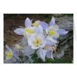 Columbine Note Card