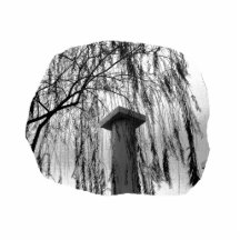 Column Under Weeping tree cutout Photo Cut Out