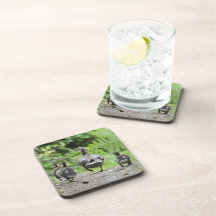 Come on Kids Cork Coaster