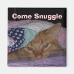 Come Snuggle Cat Magnet