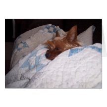 Comfort from Alfie Cards