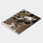 Comical French Bulldog notebooks