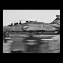 Coming Into Land postcards