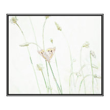 Common Buckeye Butterfly Gallery Wrap Canvas