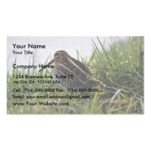 Common Snipe or Wilson's Snipe Business Card Template