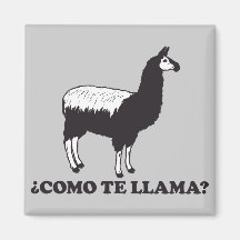 Como Te Llama Magnets