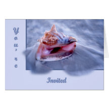 Conch Card