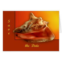 Conch Greeting Cards