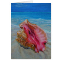 conch shell on shore greeting cards
