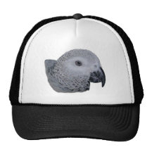 Congo African Grey parrot Hats