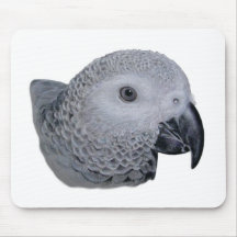Congo African Grey parrot Mouse Pad