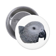 Congo African Grey parrot Pin