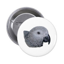 Congo African Grey parrot Pinback Buttons