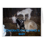 CONGRATS ON HAVING A BABY GREETING CARDS