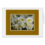 Congratulatiions On Tthe Renewal Of Your Vows Card