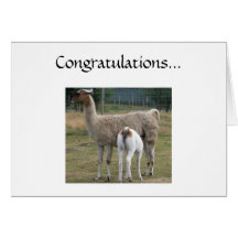 Congratulations... Card