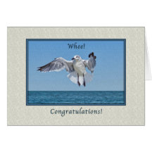 Congratulations Card with Laughing Gull