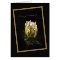 Congratulations - Daisy Flower cards