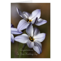 Congratulations On Your Wedding Day cards