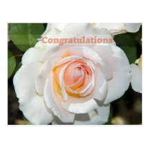congratulations postkarten